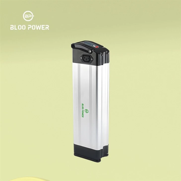 36V electric bike with various charge and discharge sockets